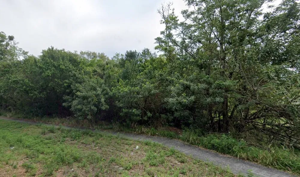 Mitchell Avenue Mims, FL 32754