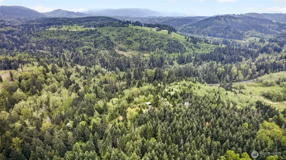 15521 Scott Turner Road E Eatonville, WA 98328