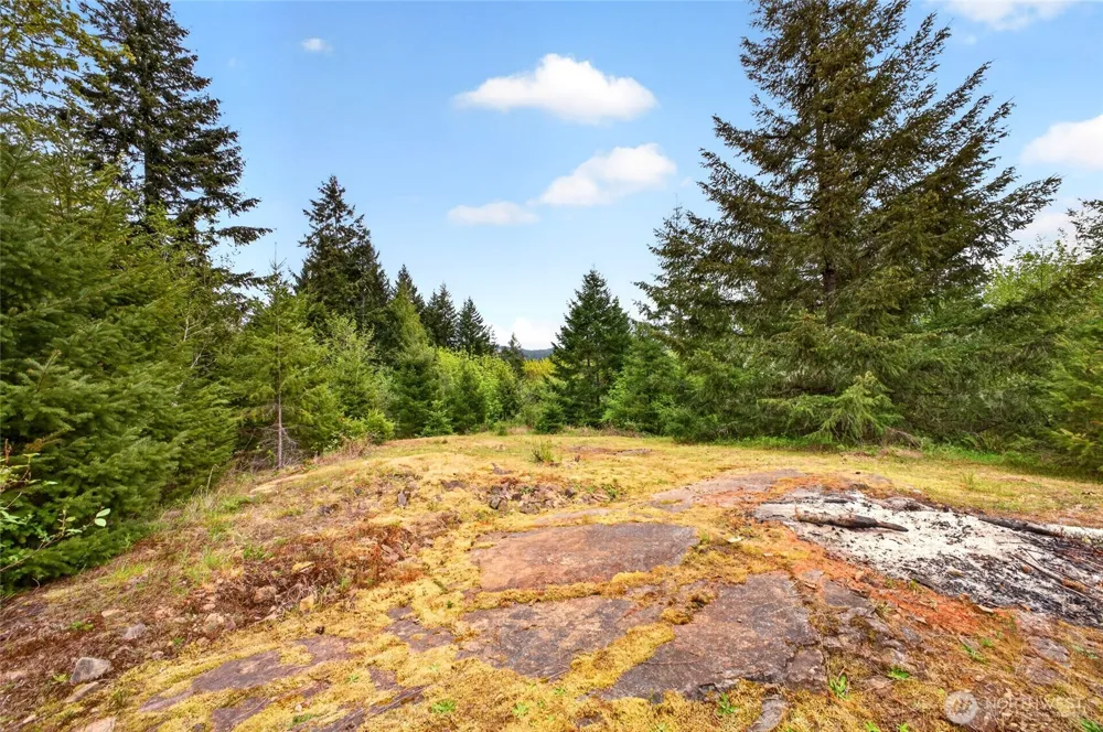 15521 Scott Turner Road E Eatonville, WA 98328