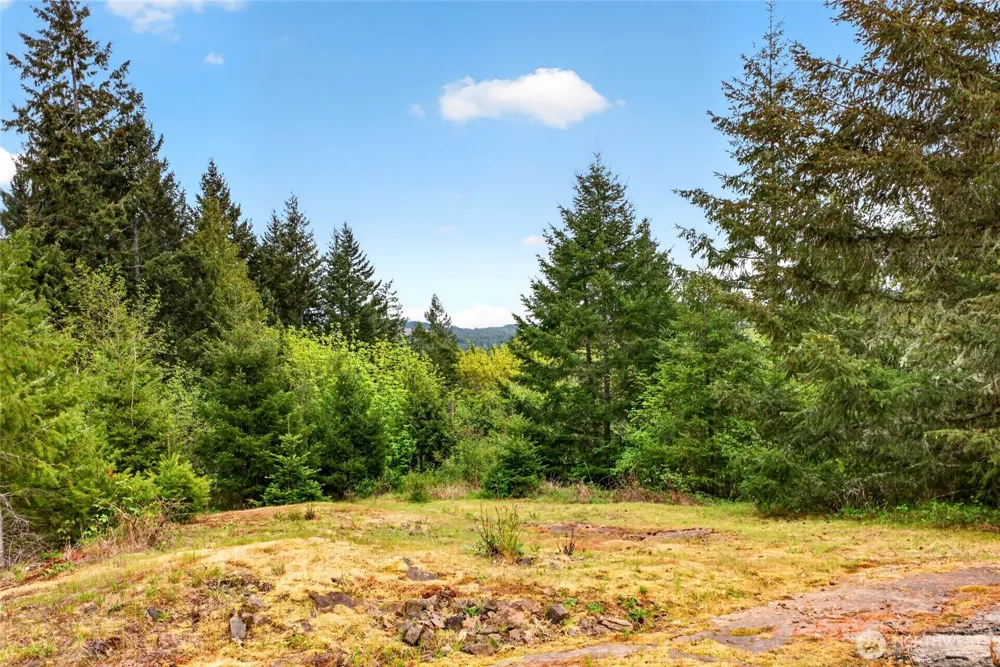 15521 Scott Turner Road E Eatonville, WA 98328
