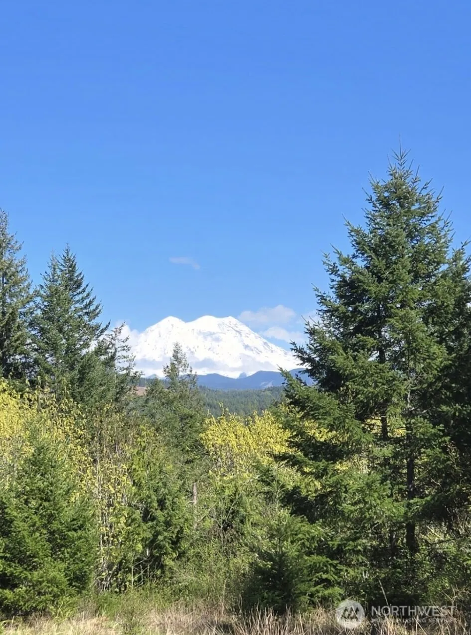 15521 Scott Turner Road E Eatonville, WA 98328