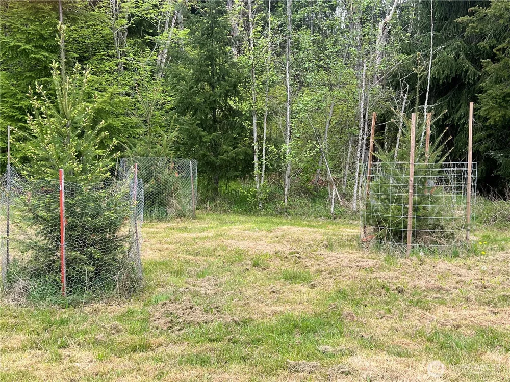 15521 Scott Turner Road E Eatonville, WA 98328