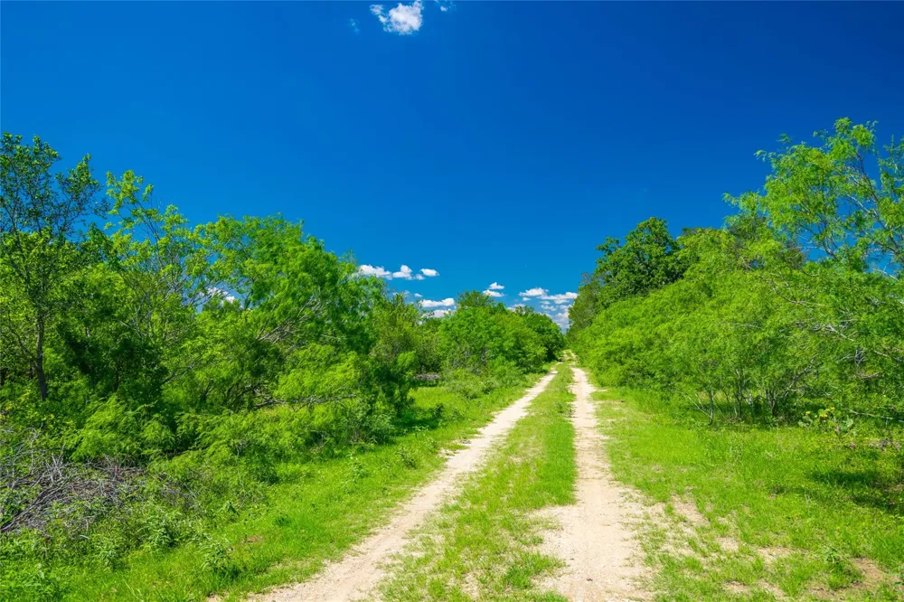 Sparta Field Road Waelder, TX 78959