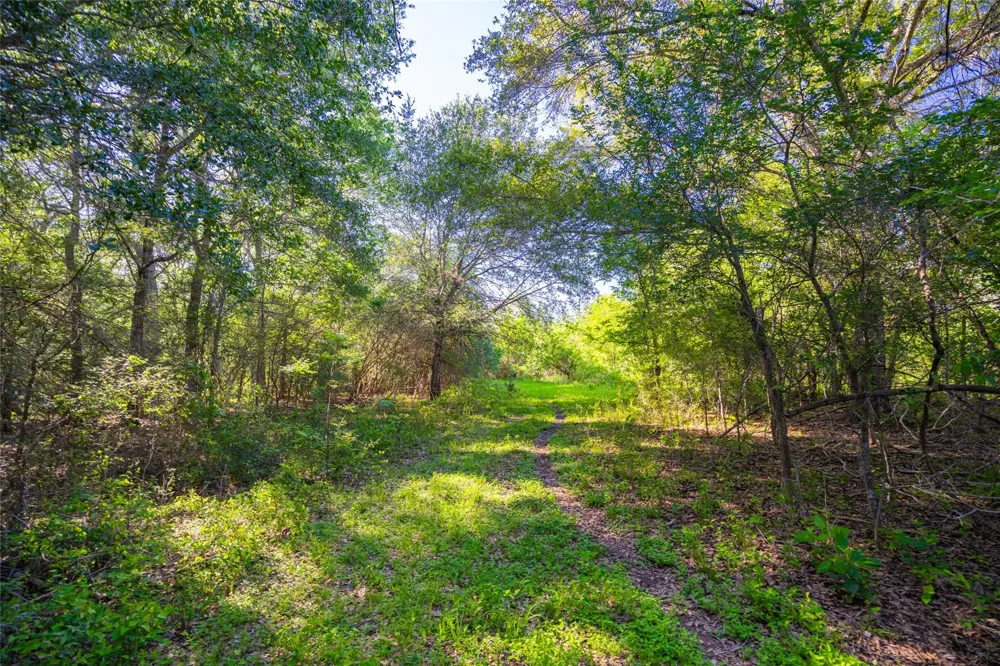 Sparta Field Road Waelder, TX 78959
