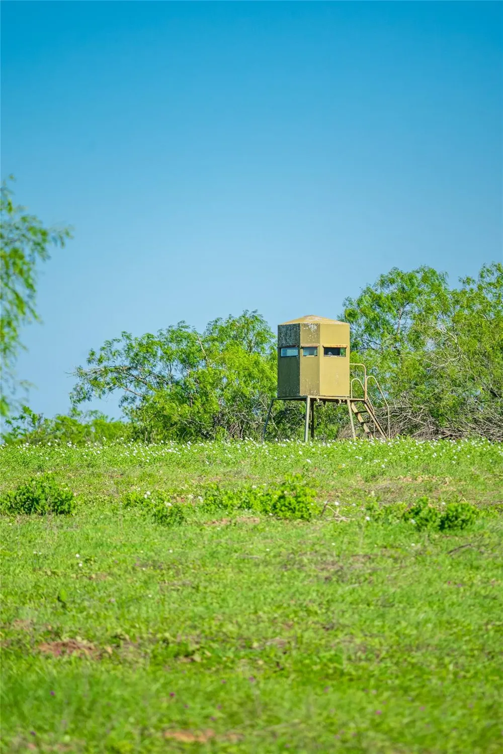 Sparta Field Road Waelder, TX 78959