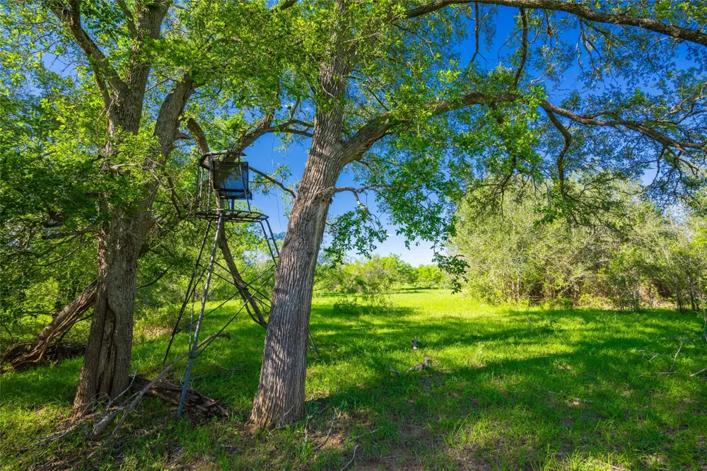 Sparta Field Road Waelder, TX 78959