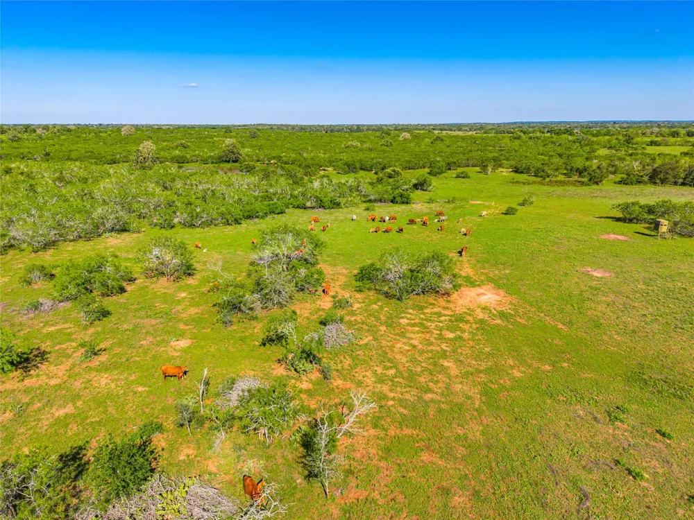 Sparta Field Road Waelder, TX 78959