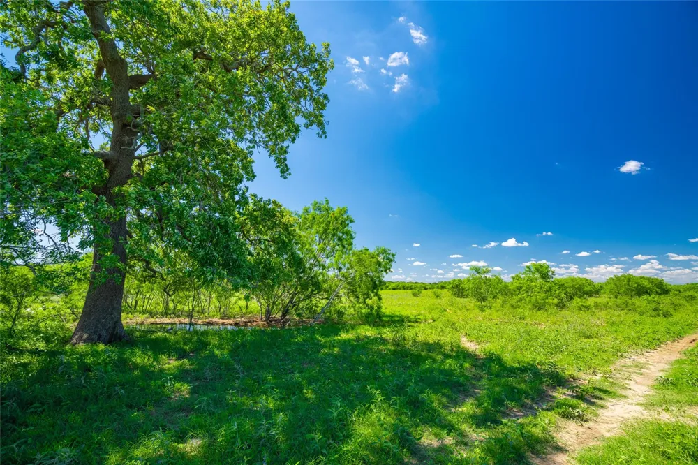 Sparta Field Road Waelder, TX 78959