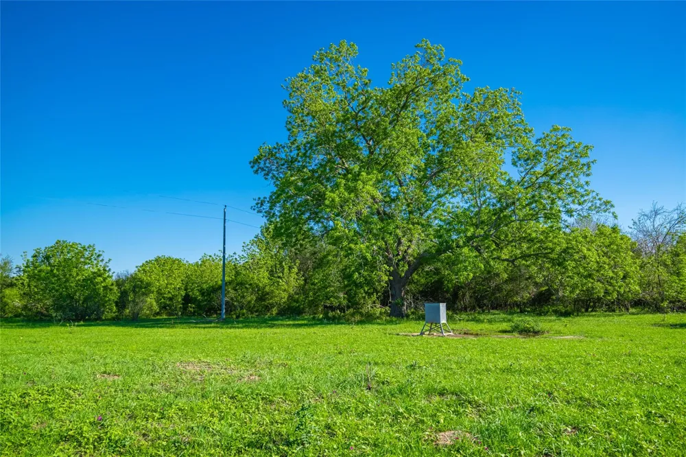 Sparta Field Road Waelder, TX 78959