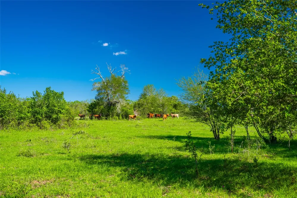 Sparta Field Road Waelder, TX 78959
