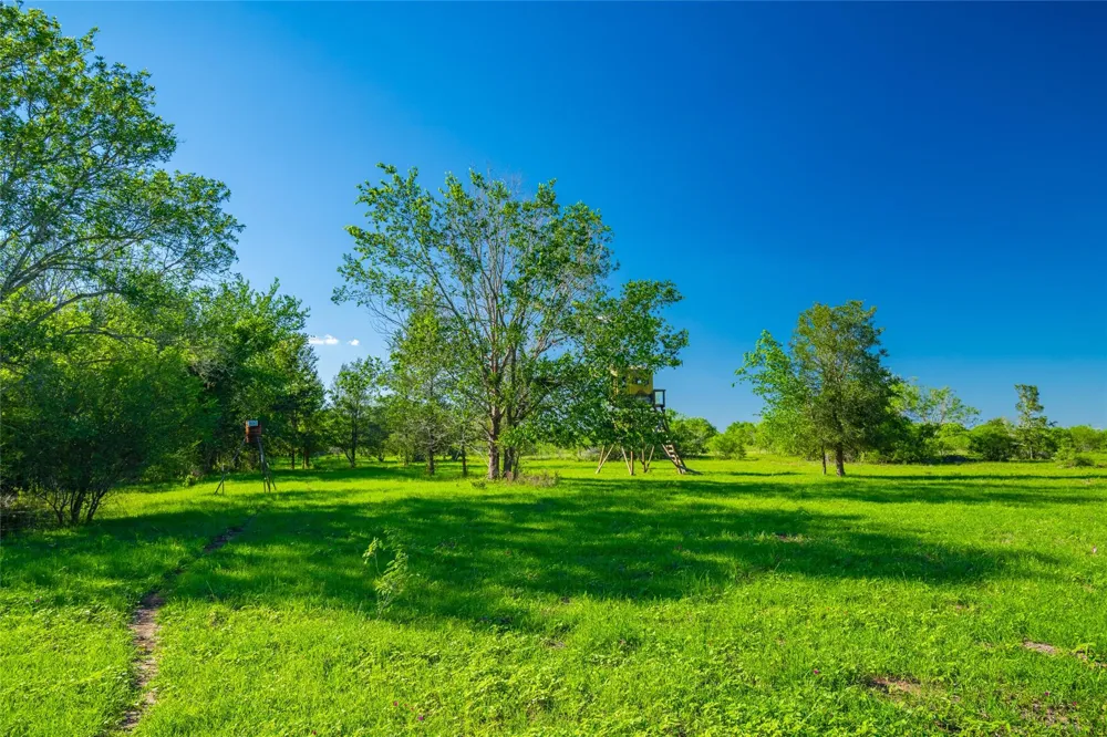 Sparta Field Road Waelder, TX 78959
