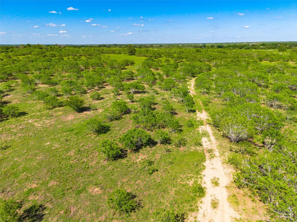 Sparta Field Road Waelder, TX 78959