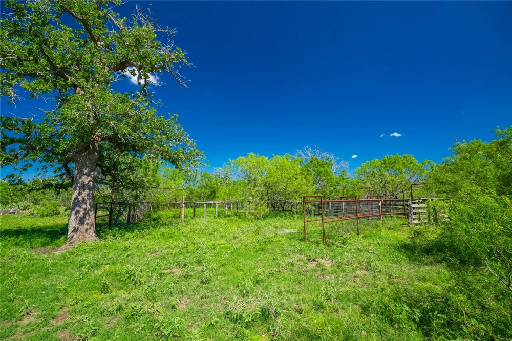 Sparta Field Road Waelder, TX 78959