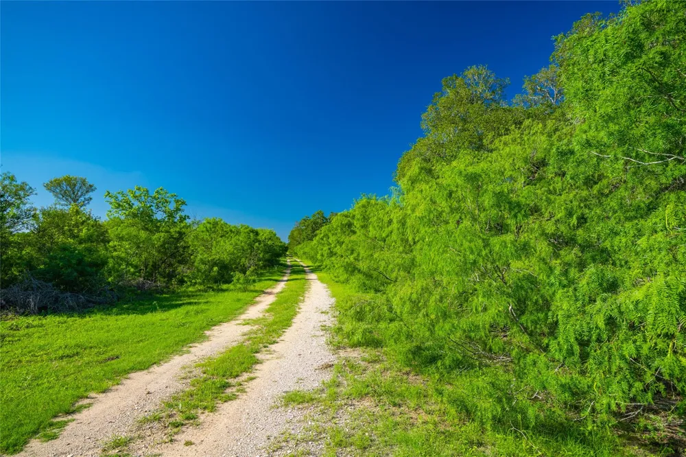 Sparta Field Road Waelder, TX 78959