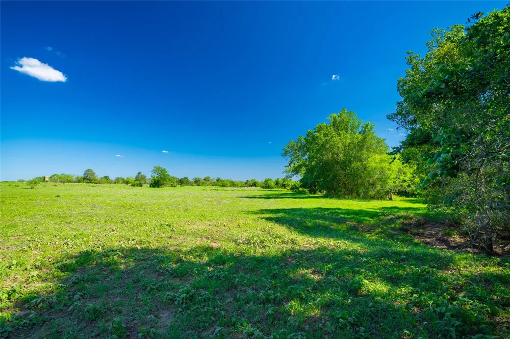 Sparta Field Road Waelder, TX 78959