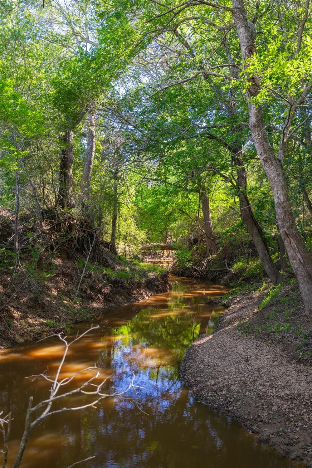 Sparta Field Road Waelder, TX 78959