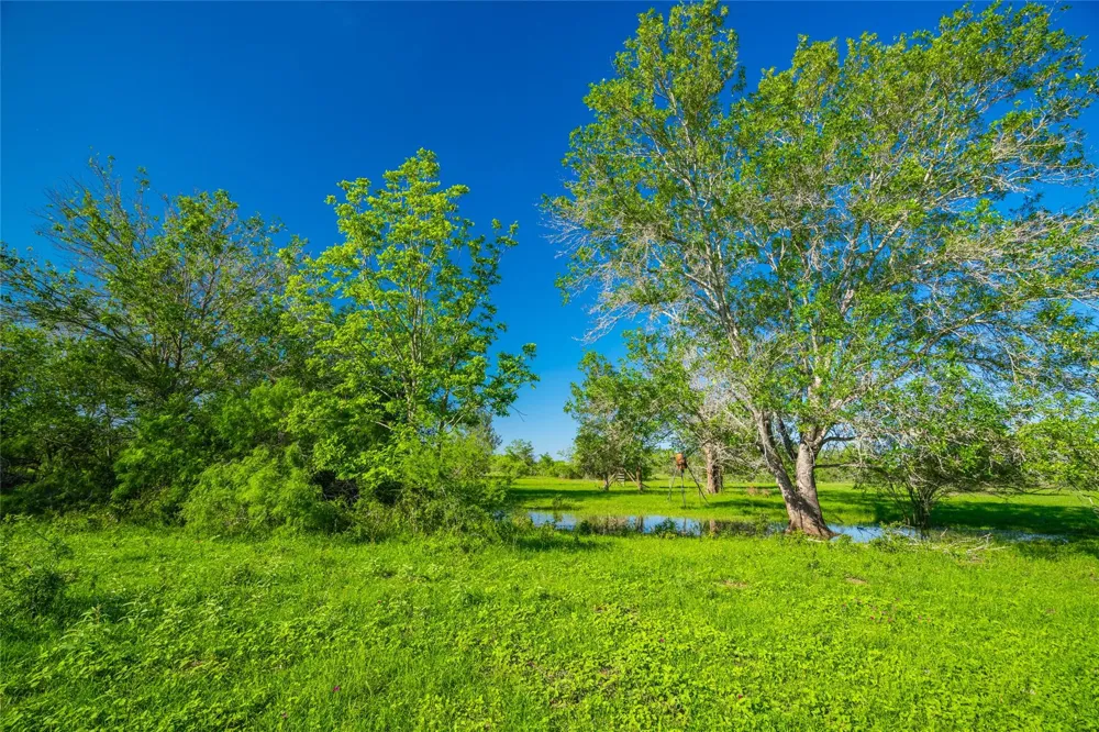 Sparta Field Road Waelder, TX 78959