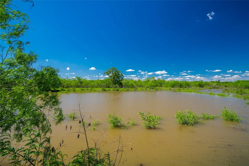 Sparta Field Road Waelder, TX 78959