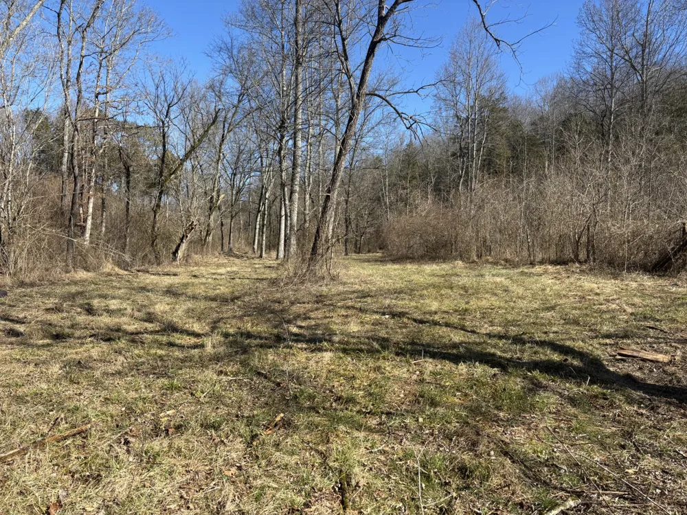 15634 Old State Highway 28 Pikeville, TN 37367