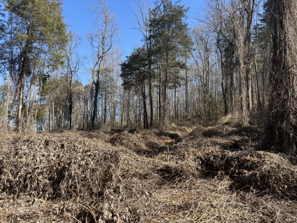 15634 Old State Highway 28 Pikeville, TN 37367