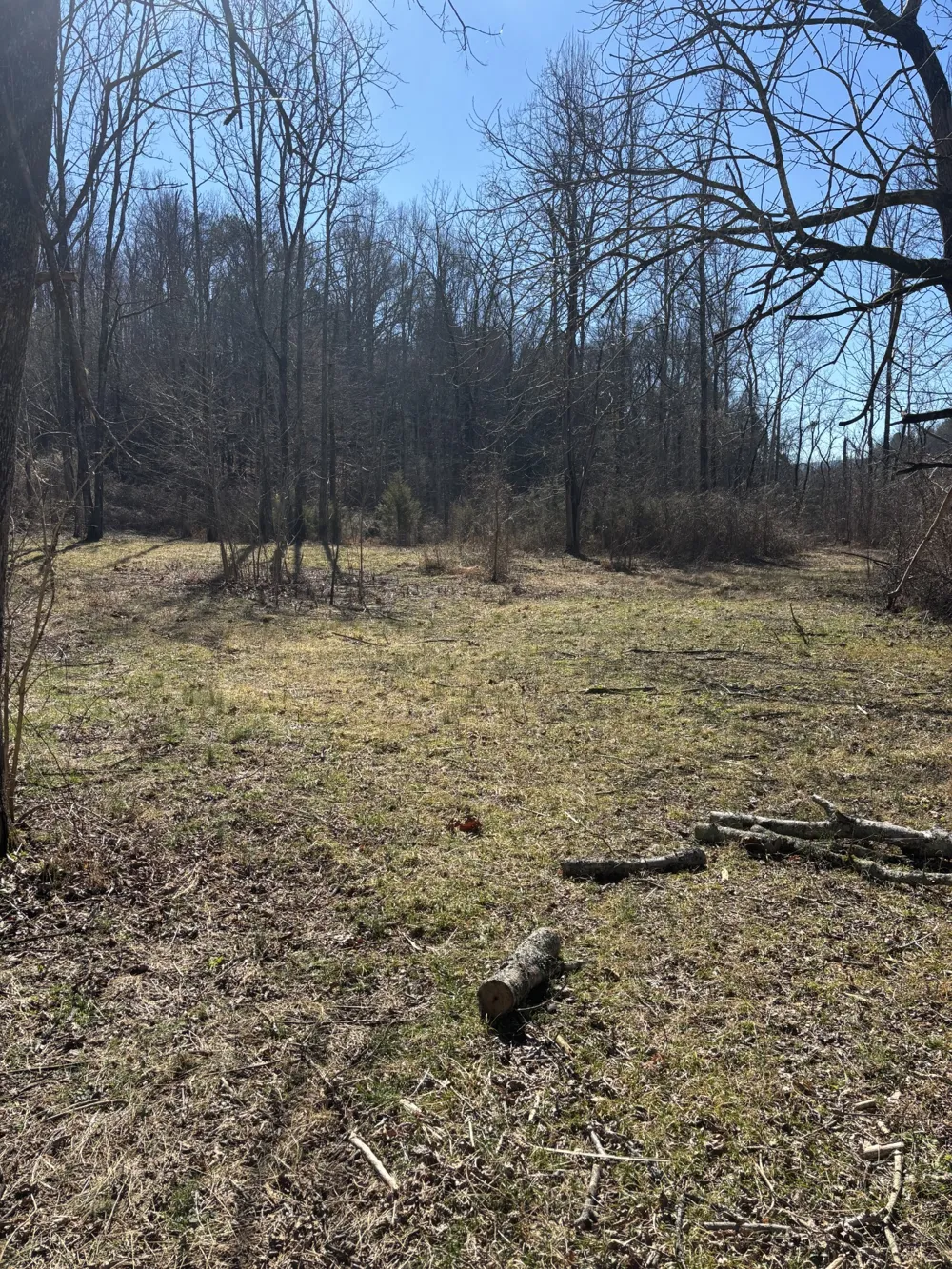 15634 Old State Highway 28 Pikeville, TN 37367