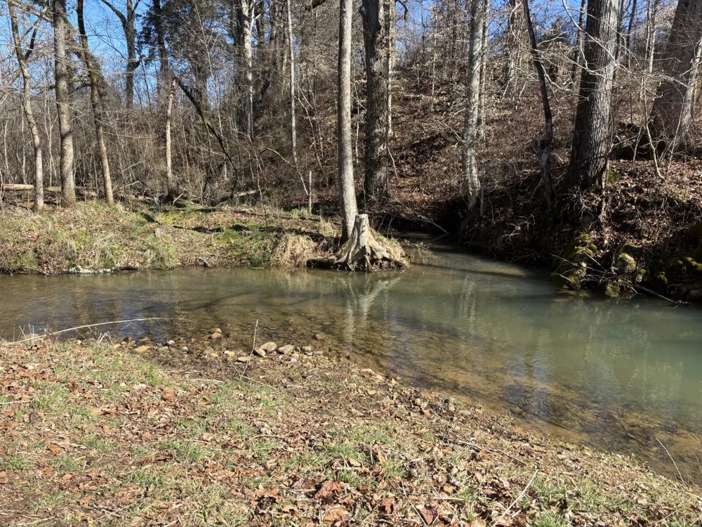 15634 Old State Highway 28 Pikeville, TN 37367