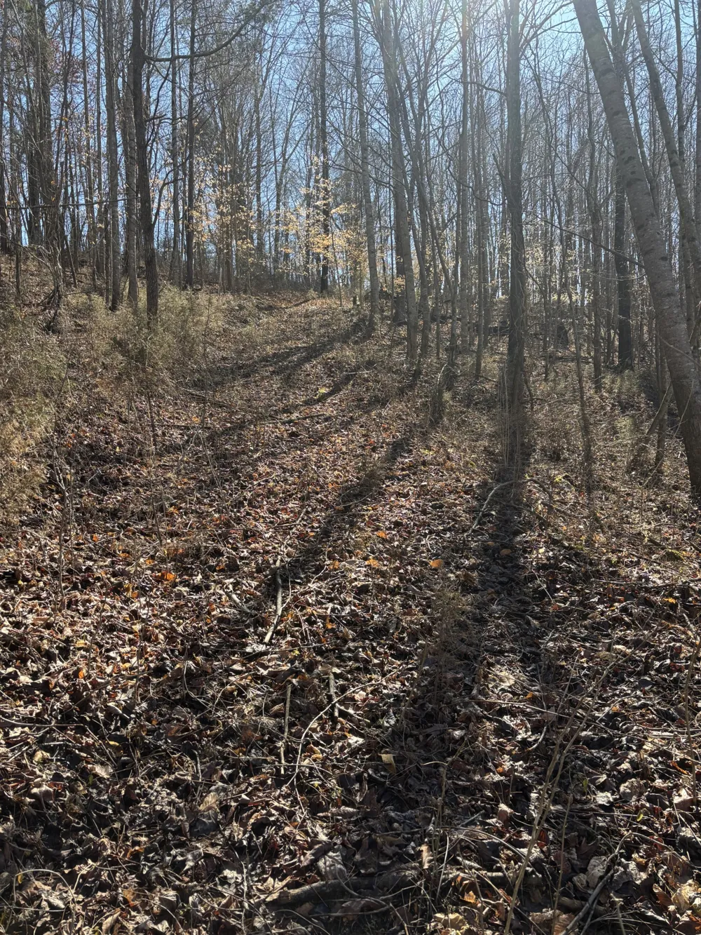15634 Old State Highway 28 Pikeville, TN 37367