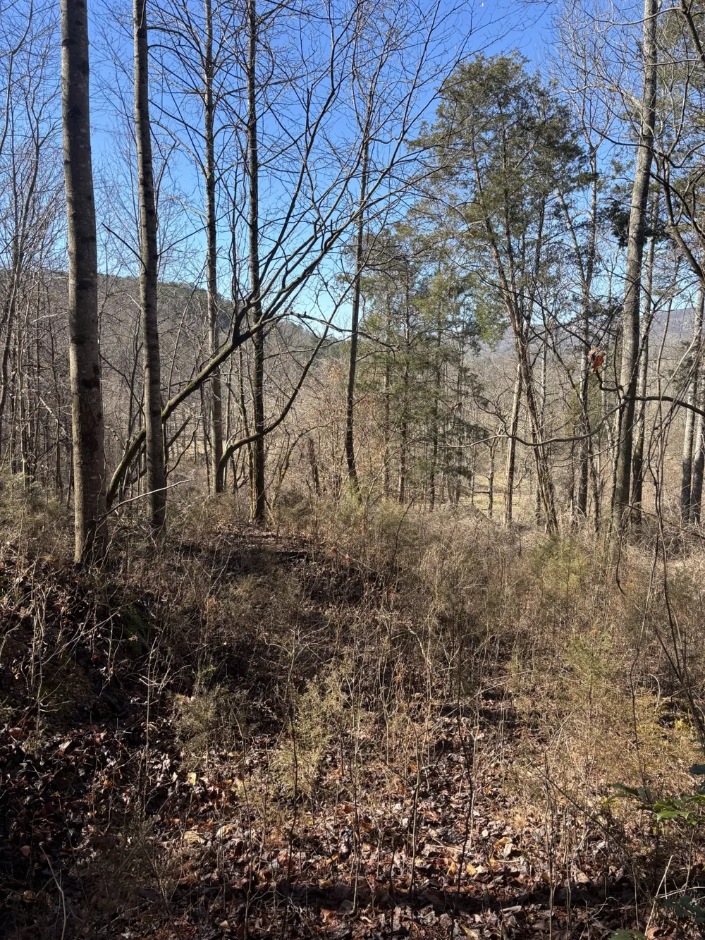 15634 Old State Highway 28 Pikeville, TN 37367