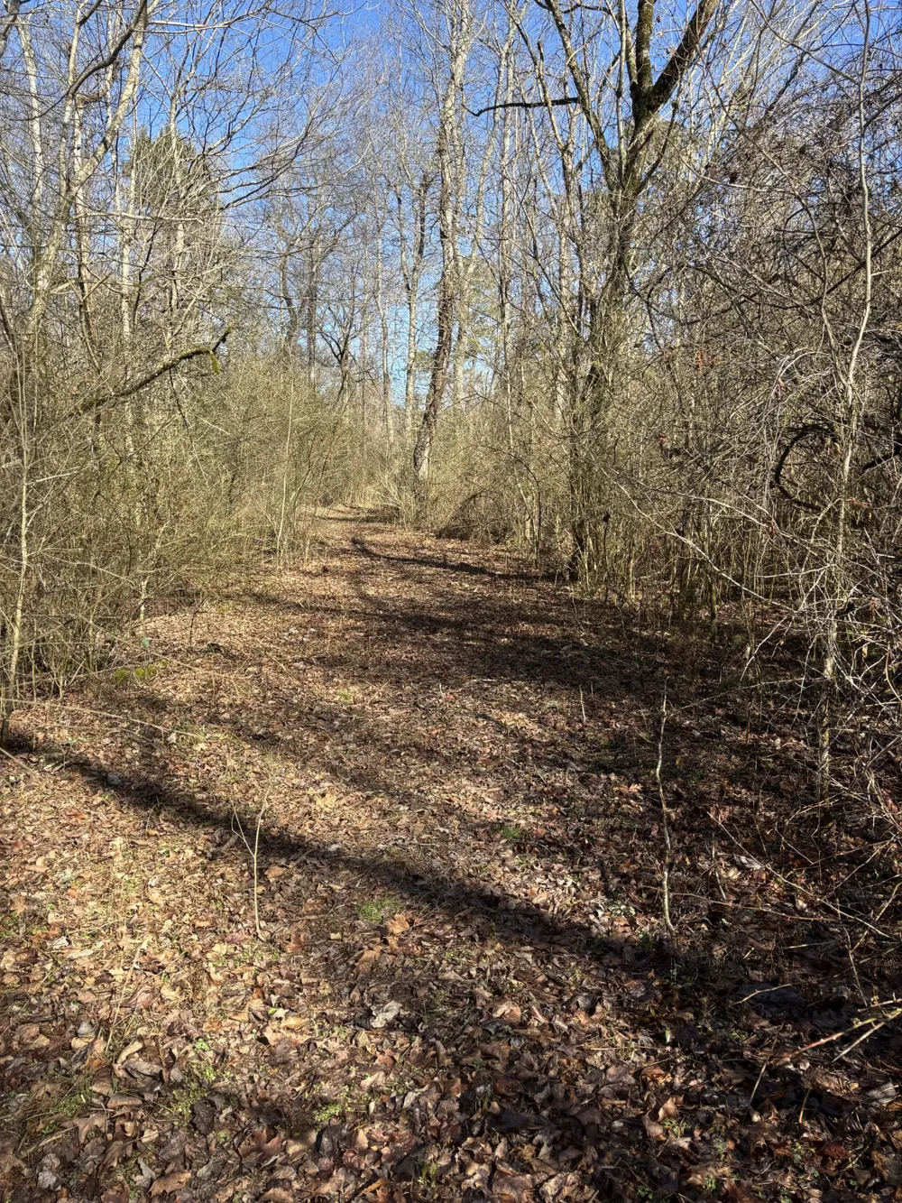 15634 Old State Highway 28 Pikeville, TN 37367