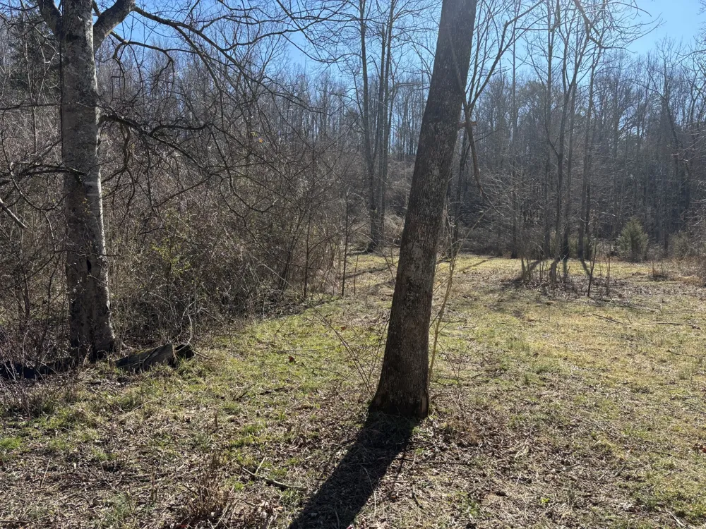 15634 Old State Highway 28 Pikeville, TN 37367