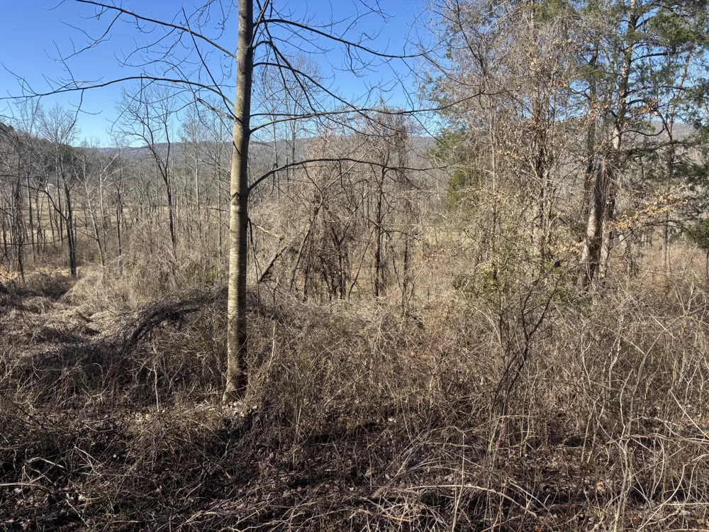 15634 Old State Highway 28 Pikeville, TN 37367