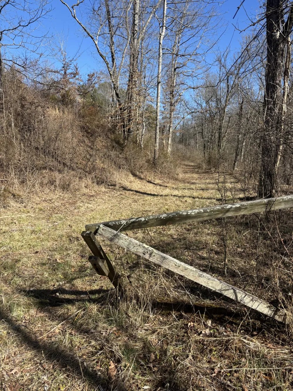 15634 Old State Highway 28 Pikeville, TN 37367