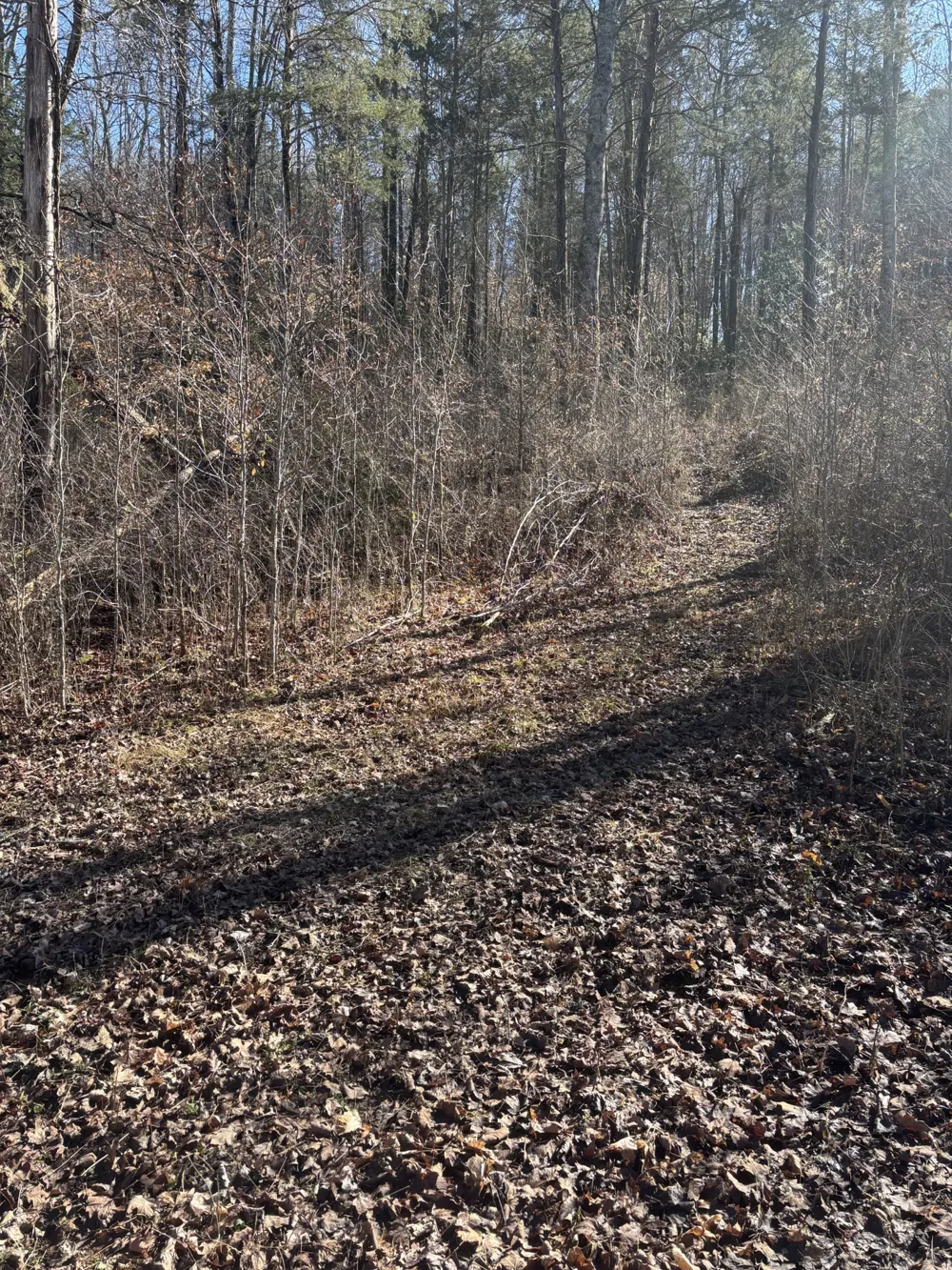 15634 Old State Highway 28 Pikeville, TN 37367