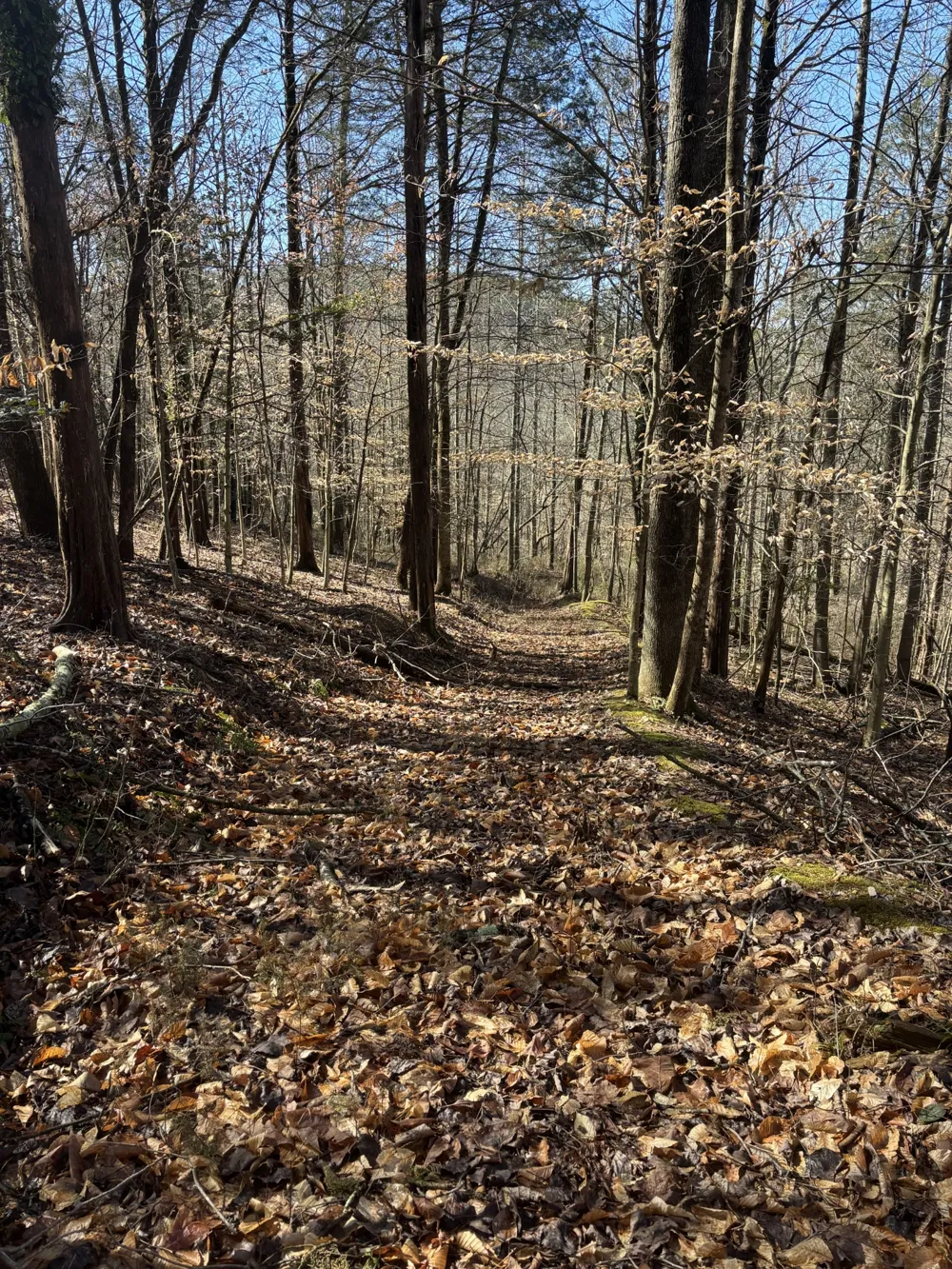 15634 Old State Highway 28 Pikeville, TN 37367