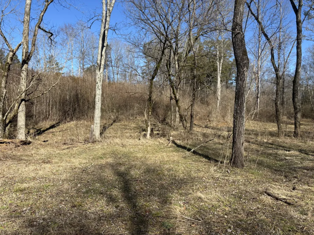 15634 Old State Highway 28 Pikeville, TN 37367
