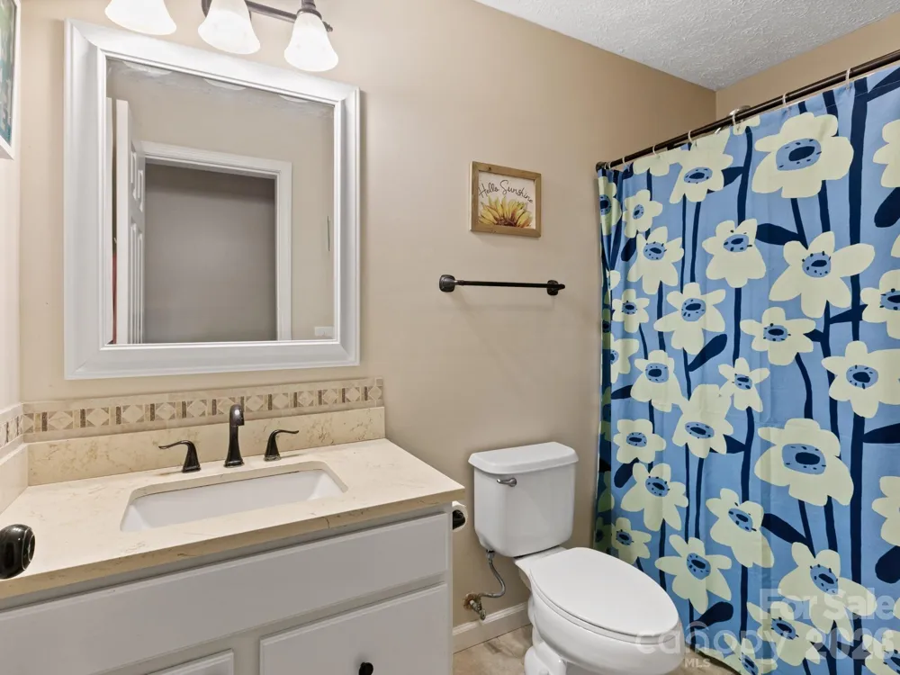 38 Brown Lynch Road Candler, NC 28715