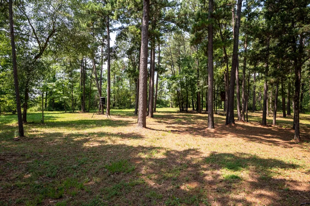 10427 Fm 229 Grapeland, TX 75844
