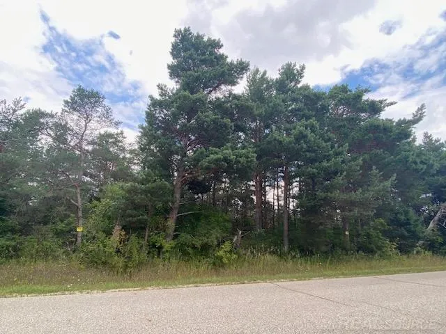 Elder.  LOT A Road Mancelona Township, MI 49659