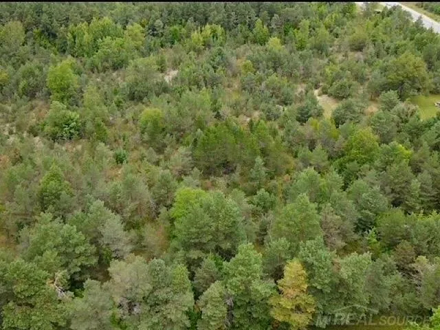 Elder.  LOT A Road Mancelona Township, MI 49659