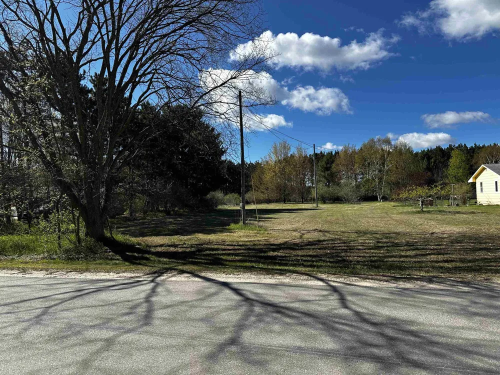 NW Wilhelm Road Clearwater Township, MI 49676