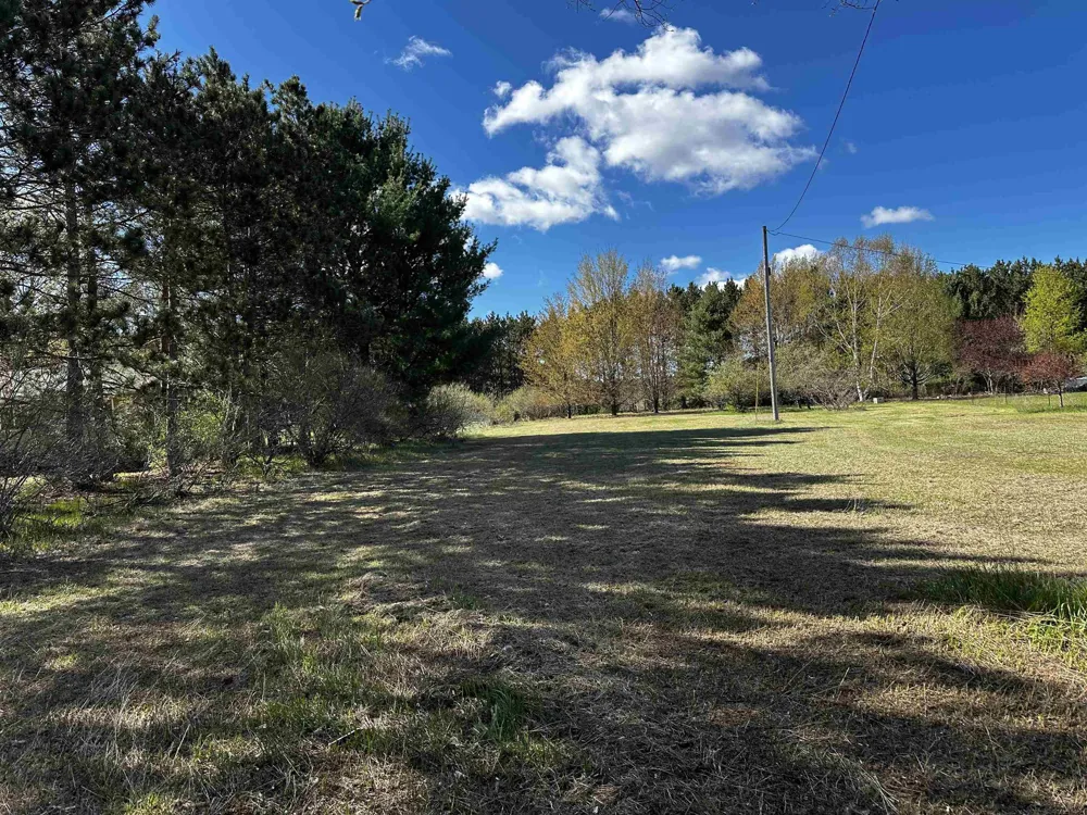 NW Wilhelm Road Clearwater Township, MI 49676