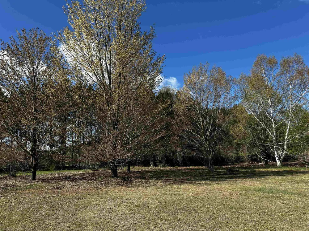 NW Wilhelm Road Clearwater Township, MI 49676