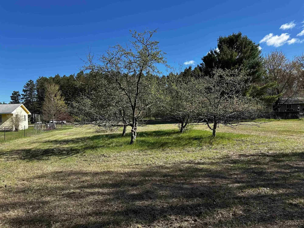 NW Wilhelm Road Clearwater Township, MI 49676