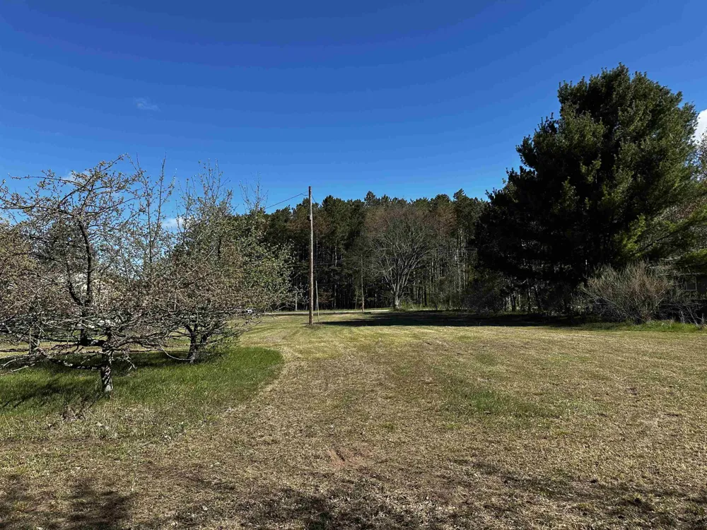 NW Wilhelm Road Clearwater Township, MI 49676