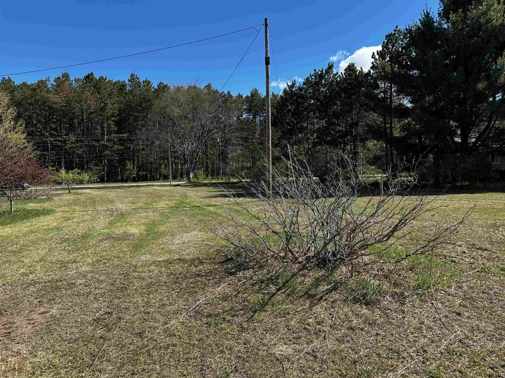 NW Wilhelm Road Clearwater Township, MI 49676