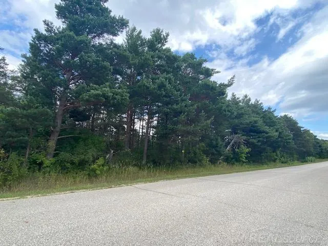 Elder LOT B Road Mancelona Township, MI 49659