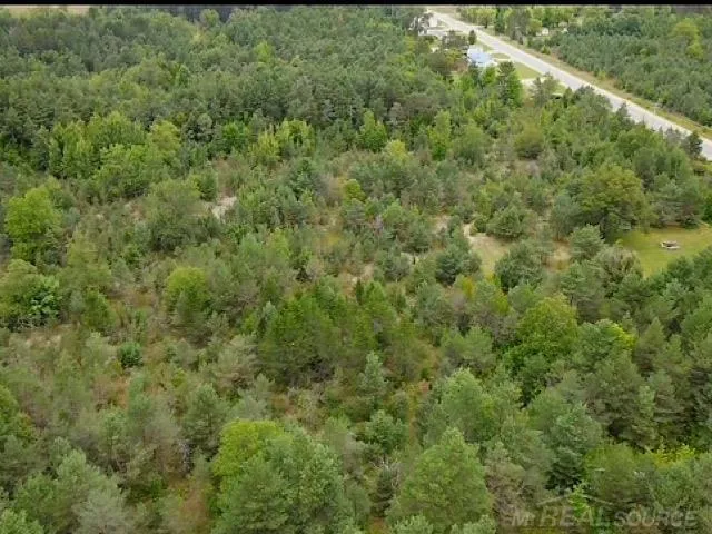 Elder LOT B Road Mancelona Township, MI 49659