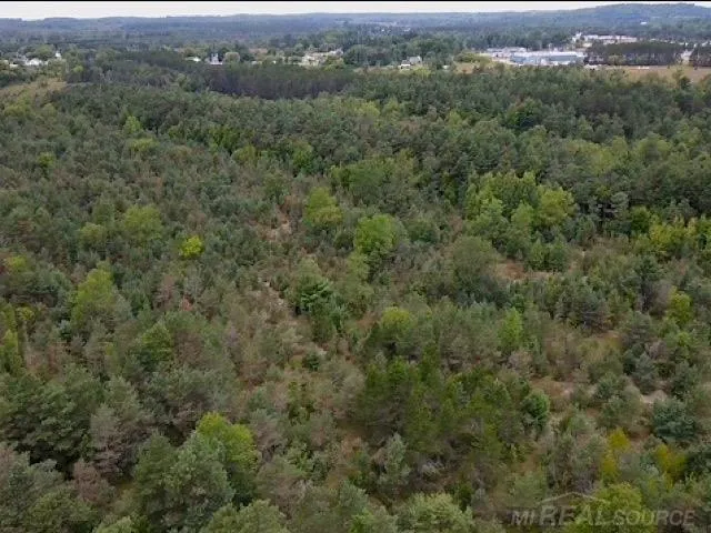 Elder LOT B Road Mancelona Township, MI 49659