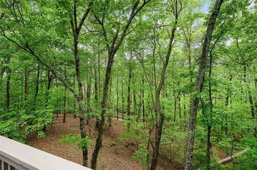 113 Yanoo Trace Big Canoe, GA 30143