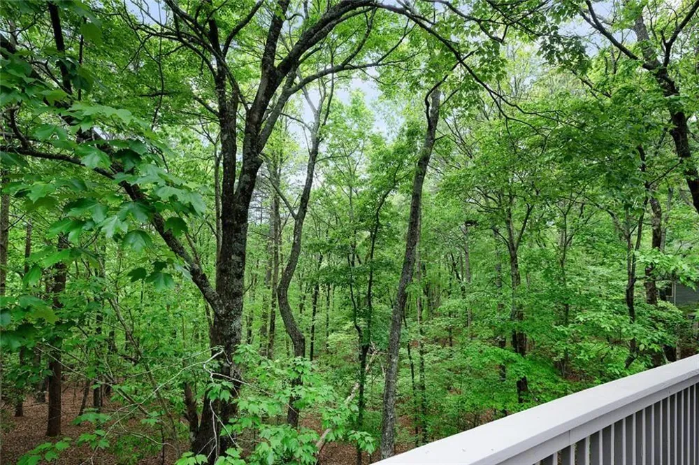 113 Yanoo Trace Big Canoe, GA 30143